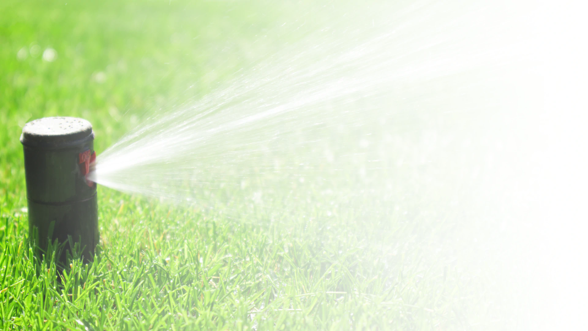 irrigation solutions parallax